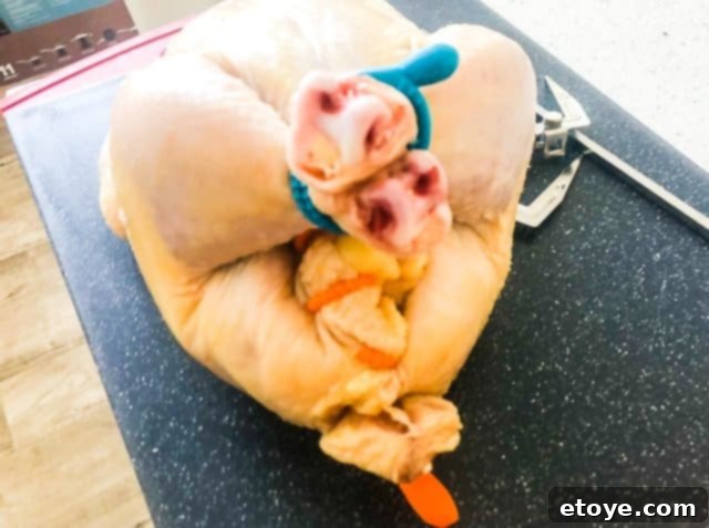 Power AirFryer Oven 8 Quart Review and Enter to Win 6 Chicken Prepared for Rotisserie