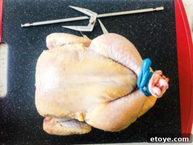 Power AirFryer Oven 8 Quart Review and Enter to Win 7 Initial Fit Attempt for Rotisserie Chicken