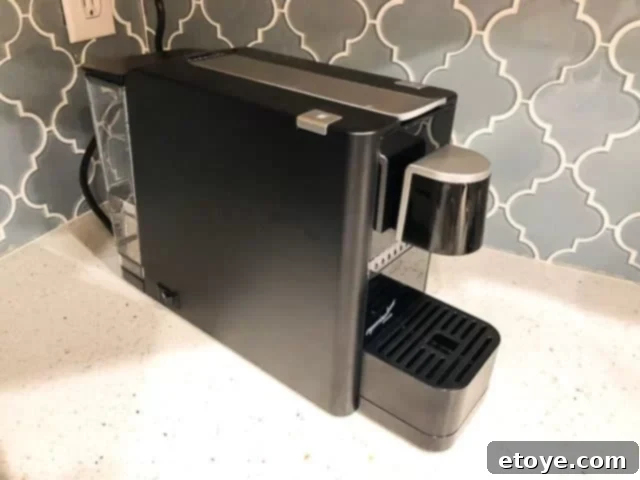 Espressotoria Caprista Machine Design