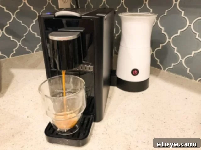 Espressotoria Caprista Frother in Action