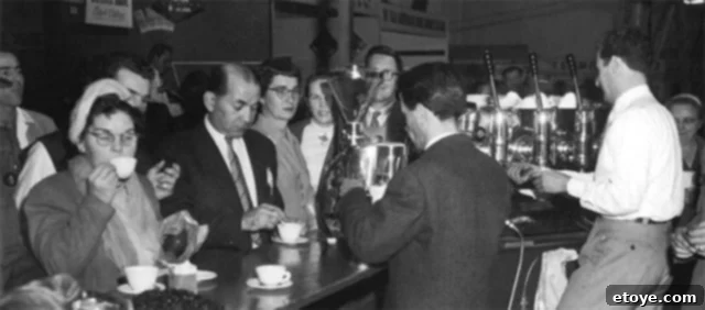 Vittoria Food & Beverage Company Logo