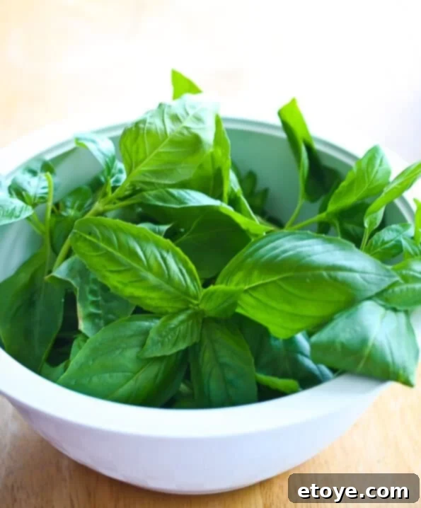 Fresh Basil and Peanuts for Pesto Preparation