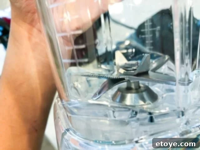 Cusibox 68oz Professional Blender Review & Giveaway 7 Close-up of the Cusibox Blender's fixed stainless steel blade system