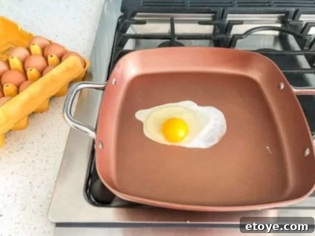 Copper Chef Wonder Cooker Non-Stick Egg Test