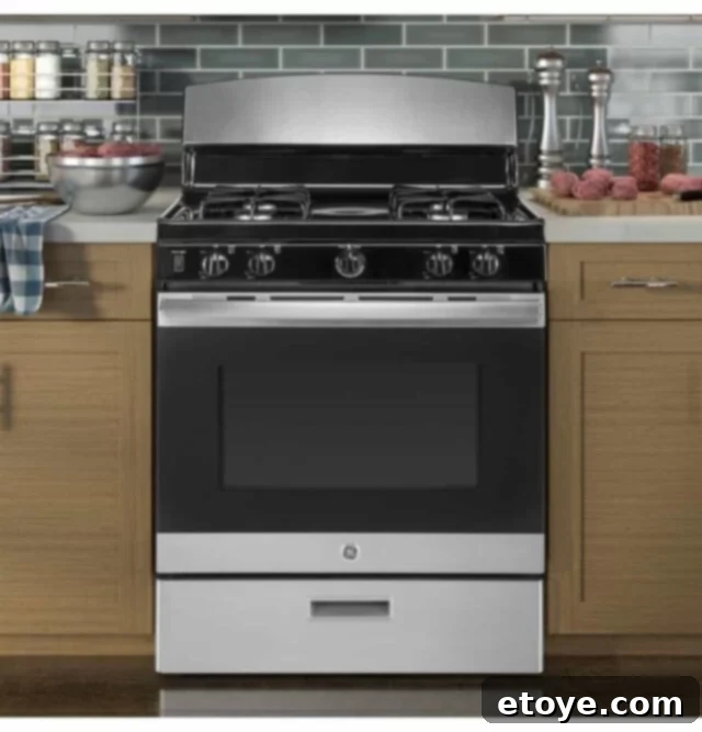 GE JGBS30REKSS Stainless Steel Gas Range Front View