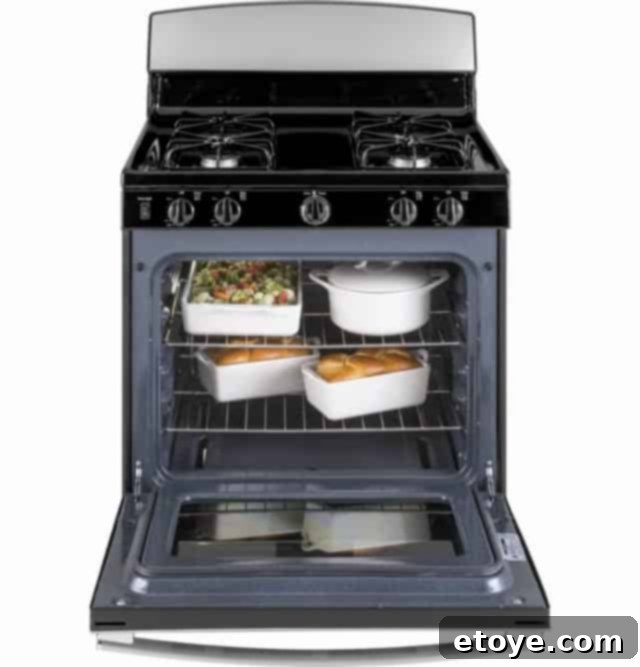 GE JGBS30REKSS Stainless Steel Gas Range with Oven Door Open