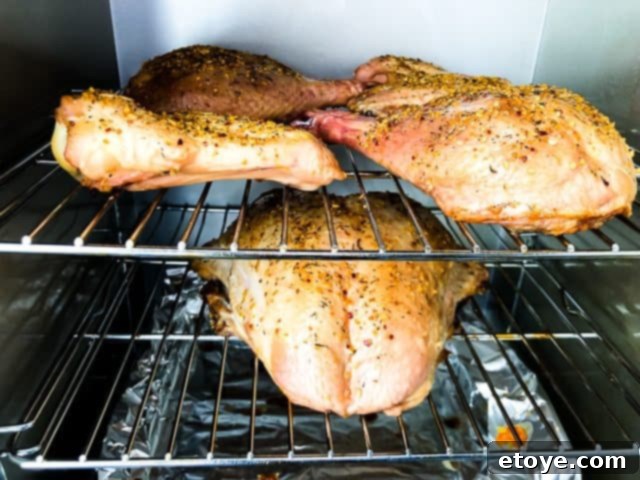 Cuisinart Vertical Electric Smoker Full Review Plus Giveaway 7 Turkey prepared for smoking in the Cuisinart smoker