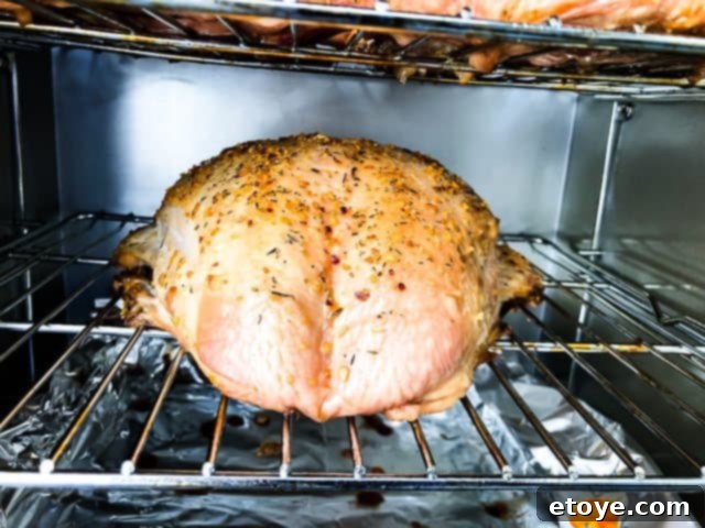 Cuisinart Vertical Electric Smoker Full Review Plus Giveaway 8 Smoked turkey breast after cooking in the Cuisinart smoker