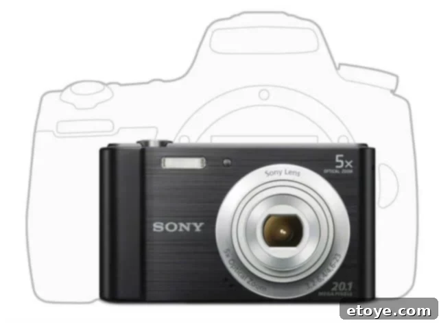Score a Free Sony DSC-W800 Digital Camera 5 Sony W800 compact digital camera displaying a panoramic photo