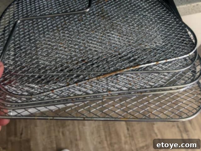 Power AirFryer Oven Review Enter The Giveaway 7 Power Air Fryer Oven Trays Showing Rust After Dishwashing