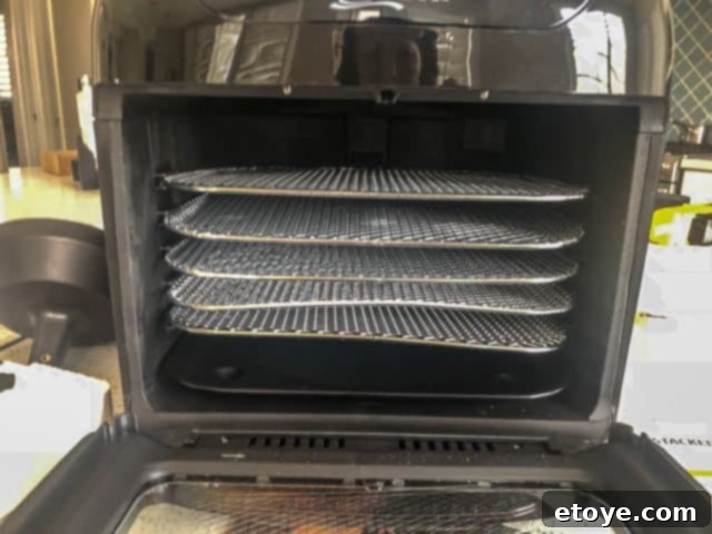 Power Air Fryer Oven Tray Insertion Difficulty Power Air Fryer Oven Tray Insertion Difficulty