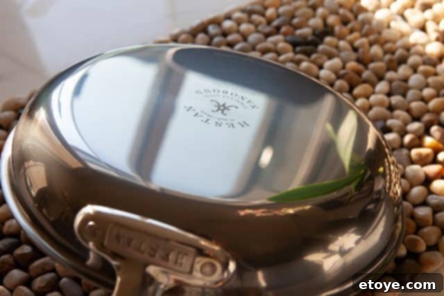 Hestan Nanobond Essential Pan Review & Giveaway 17 Hestan Nanobond frying pan, one year old, maintaining its brand-new appearance after extensive use