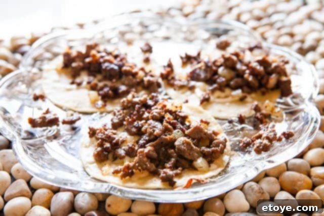 Hestan Nanobond Essential Pan Review & Giveaway 9 Delicious carne asada tacos plated, ready for a meal with the son