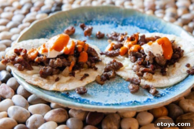 Hestan Nanobond Essential Pan Review & Giveaway 10 Another plate of appetizing carne asada tacos, prepared for the reviewer