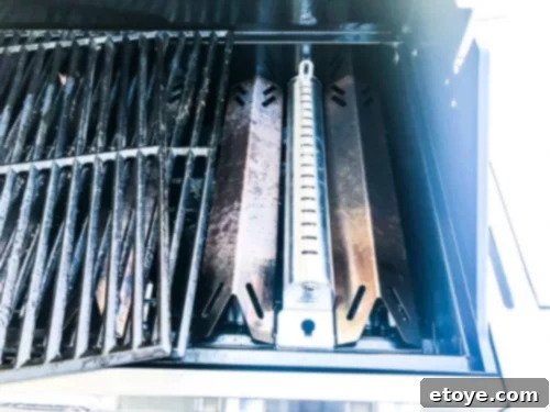 Cuisinart 3-in-1 Gas Grill Inserting Smoker Tube Cuisinart 3-in-1 Gas Grill Inserting Smoker Tube