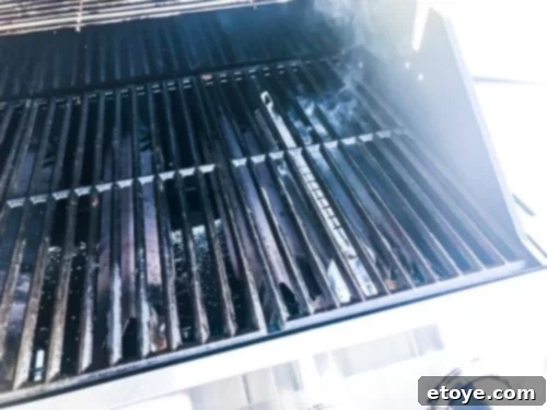 Cuisinart 3-in-1 Gas Grill Wood Chips Smoking Cuisinart 3-in-1 Gas Grill Wood Chips Smoking