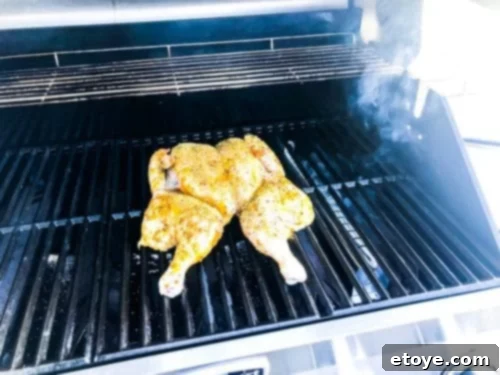 Cuisinart 3-in-1 Gas Grill Smoking Chicken Inside Cuisinart 3-in-1 Gas Grill Smoking Chicken Inside