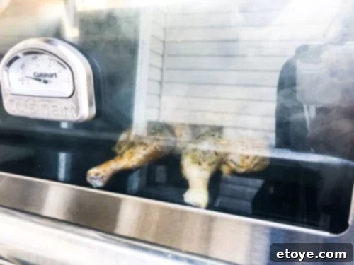 Cuisinart 3-in-1 Gas Grill Monitoring Smoked Chicken Through Window Cuisinart 3-in-1 Gas Grill Monitoring Smoked Chicken Through Window