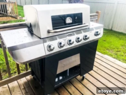 Cuisinart 3-in-1 Stainless Gas Grill Fully Assembled Cuisinart 3-in-1 Stainless Gas Grill Fully Assembled