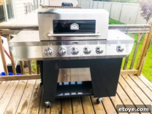 Cuisinart 3-in-1 Gas Grill without Cover Cuisinart 3-in-1 Gas Grill without Cover