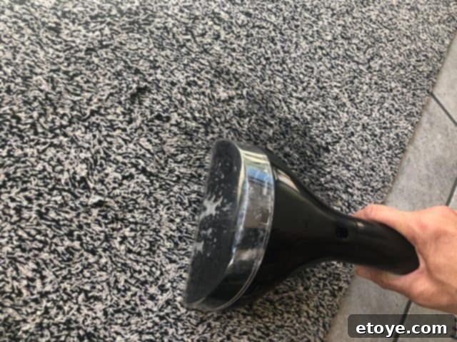 Bissell SpotClean Pro Tested Our Thoughts And Your Chance To Win 8 Cleaning pet stain with Bissell SpotClean Pro