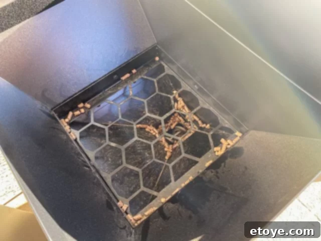 Z Grills 700E with pork butt smoking