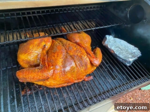 Water pan for smoking turkey in Z Grills 700E