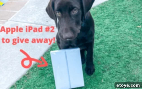 Adorable seven-month-old Duke proudly presenting the brand new Apple iPad for the giveaway