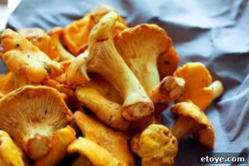 chanterelle-bacon-blue-cheese-plum-salad-6 Freshly cleaned chanterelle mushrooms, halved and quartered