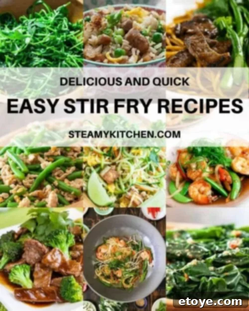 A vibrant collage featuring various easy stir fry recipes, including shrimp, beef, chicken, and vegetarian options, showcasing their simplicity and appeal