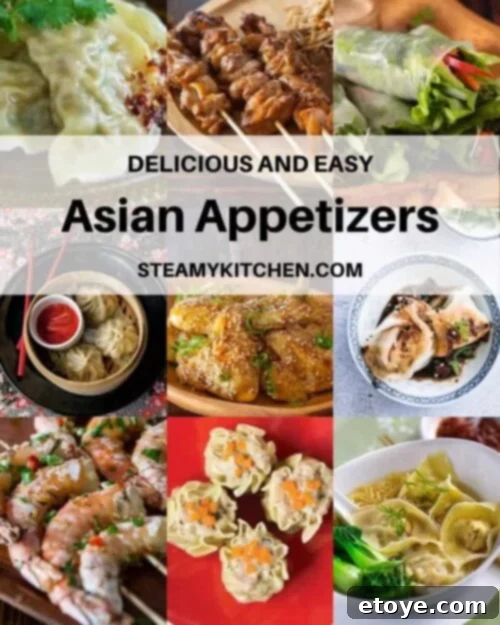 Collage of diverse Asian appetizer recipes including spring rolls, dumplings, and skewers