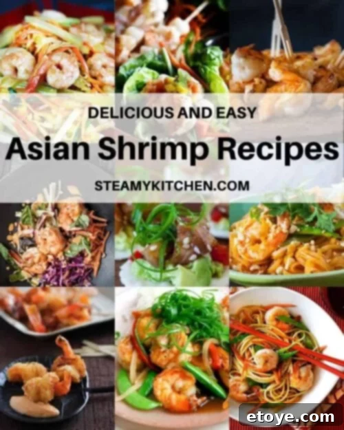 Asian Shrimp Delights 2 Collage of different Asian Shrimp recipes, featuring various preparations like skewers, dumplings, and stir-fries