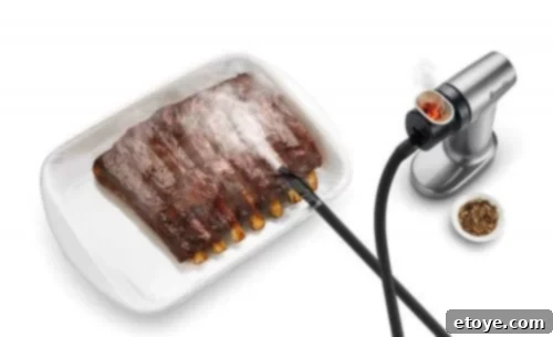 Steamy Kitchen What's Cooking 2 The Smoking Gun kitchen gadget infusing smoke into food and ingredients