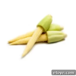 Baby Corn Baby Corn Ingredient