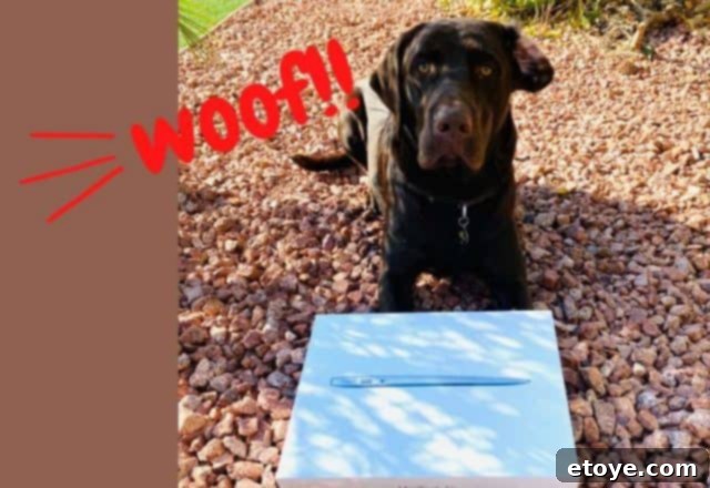 Win an Apple MacBook Air 2 Sleek silver Apple MacBook Air with screen displaying a colorful desktop