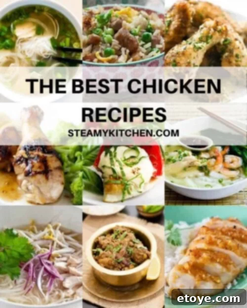 Unforgettable Chicken Creations 2 Collage of chicken recipes