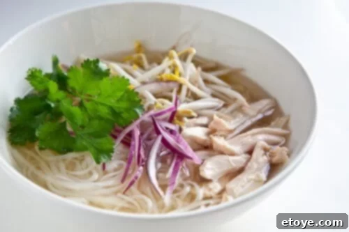 Unforgettable Chicken Creations 3 slow cooker pho in a white bowl