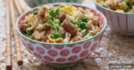 Unforgettable Chicken Creations 22 chicken and rice in bowl