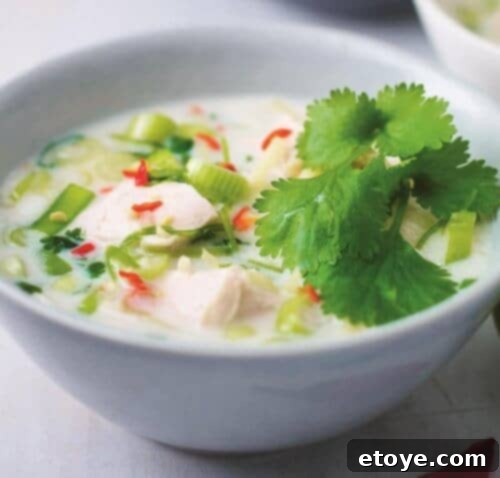 Unforgettable Chicken Creations 6 Thai Chicken Coconut Soup Recipe