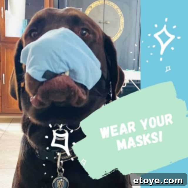 Win 100 in Groceries 3 A vibrant collage of various fresh grocery items, including fruits, vegetables, and pantry staples, highlighting the abundance of choices.