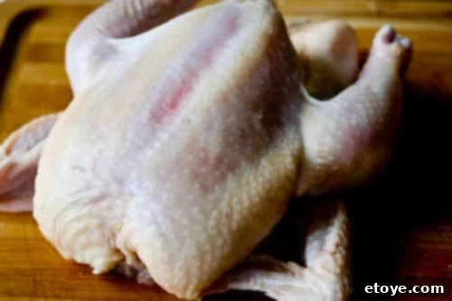 Hainanese Chicken Rice Recipe - Step by step photos Clean and glistening chicken after exfoliation