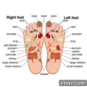 Detailed foot reflexology chart showing connections to various body organs