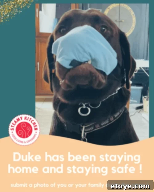 Homebound Happiness Photo Contest 5 A person enjoying a quiet moment or an indoor activity, such as reading or gardening, perfectly embodying a sense of peace and contentment while staying at home.