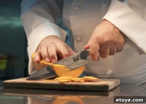 KOTAI Gyuto Chef Knife featuring elegant design and sharp blade