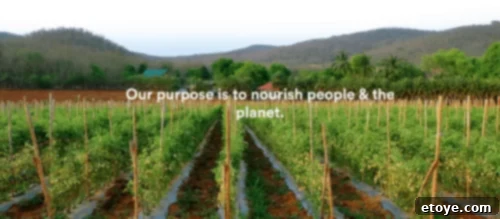 A close-up of a delicious and healthy meal from Whole Foods Market's hot food bar, showcasing prepared food options.
