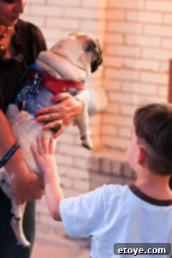 Another happy dog participating in a Mount Dora event