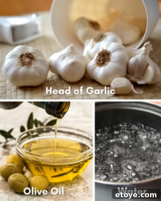 Quick Microwave Roasted Garlic 3 A close-up of a head of garlic, olive oil, and a small dish, representing the ingredients for microwave roasting