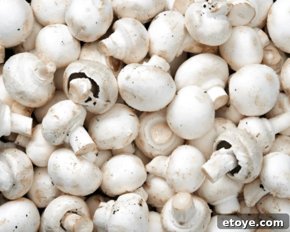 Mushroom 101 3 mushrooms