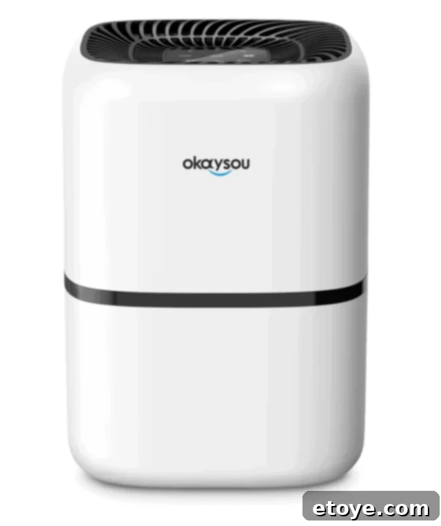 Okaysou AirMic4S Air Purifier