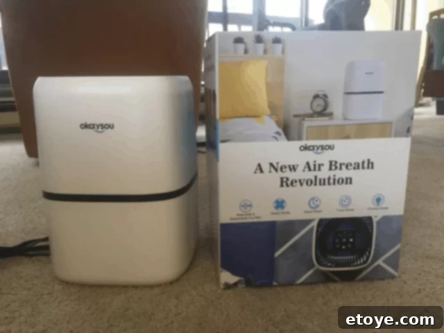 Okaysou Air Purifier close up